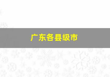 广东各县级市