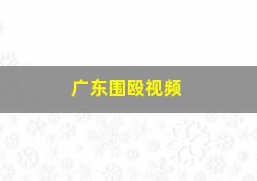 广东围殴视频