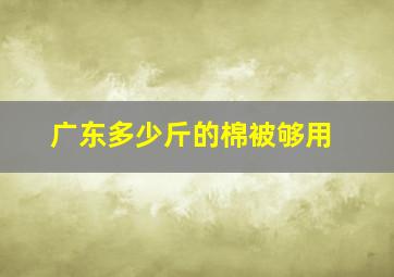 广东多少斤的棉被够用