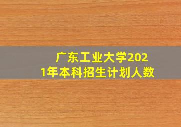 广东工业大学2021年本科招生计划人数