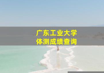 广东工业大学体测成绩查询