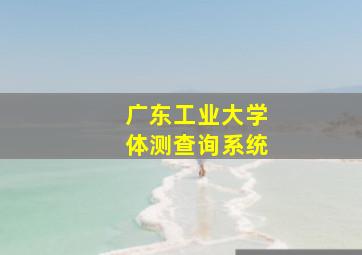 广东工业大学体测查询系统