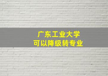 广东工业大学可以降级转专业