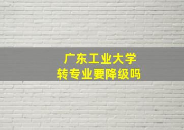 广东工业大学转专业要降级吗