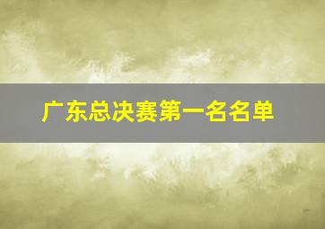 广东总决赛第一名名单