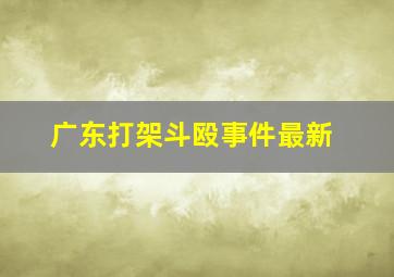 广东打架斗殴事件最新