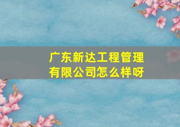 广东新达工程管理有限公司怎么样呀