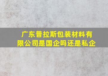 广东普拉斯包装材料有限公司是国企吗还是私企