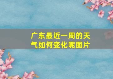 广东最近一周的天气如何变化呢图片