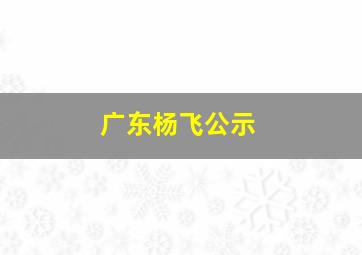 广东杨飞公示