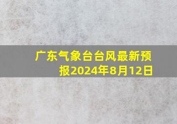 广东气象台台风最新预报2024年8月12日