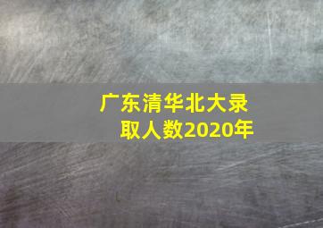 广东清华北大录取人数2020年