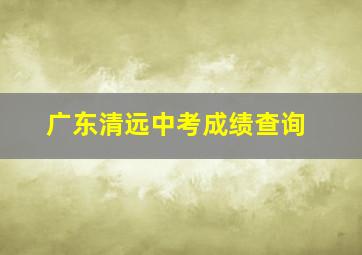 广东清远中考成绩查询