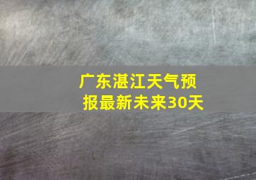 广东湛江天气预报最新未来30天