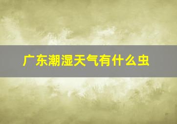 广东潮湿天气有什么虫