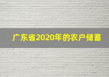 广东省2020年的农户储蓄