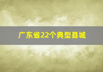 广东省22个典型县城