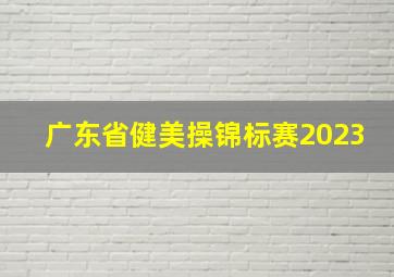 广东省健美操锦标赛2023