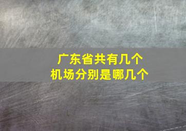 广东省共有几个机场分别是哪几个