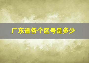 广东省各个区号是多少