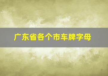 广东省各个市车牌字母