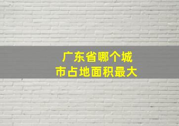 广东省哪个城市占地面积最大