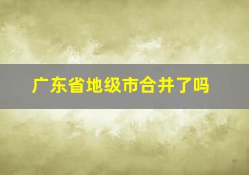 广东省地级市合并了吗