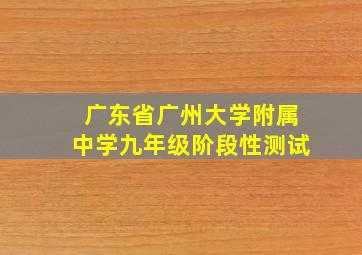 广东省广州大学附属中学九年级阶段性测试