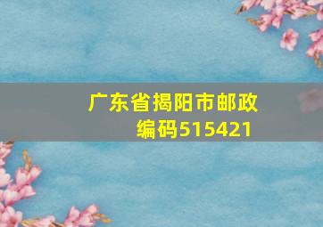 广东省揭阳市邮政编码515421