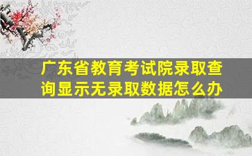 广东省教育考试院录取查询显示无录取数据怎么办