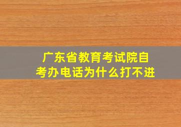 广东省教育考试院自考办电话为什么打不进