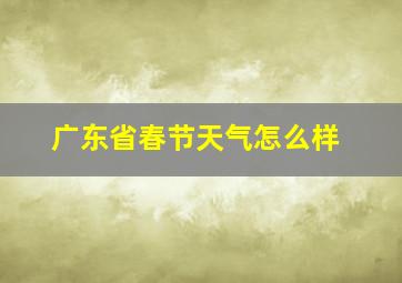 广东省春节天气怎么样