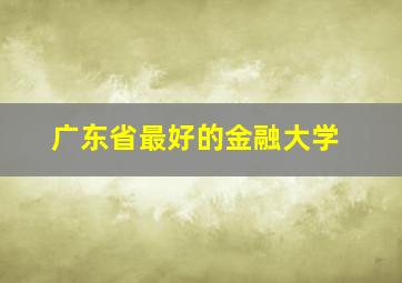 广东省最好的金融大学