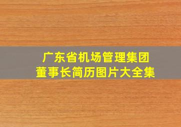 广东省机场管理集团董事长简历图片大全集