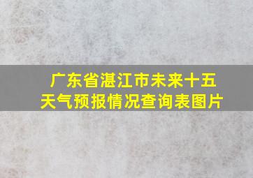 广东省湛江市未来十五天气预报情况查询表图片