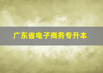 广东省电子商务专升本