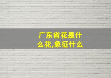 广东省花是什么花,象征什么