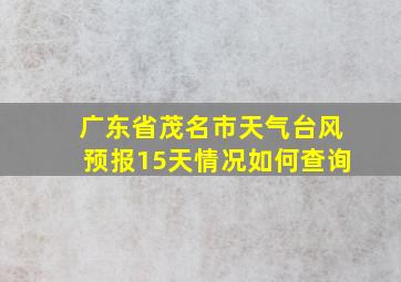 广东省茂名市天气台风预报15天情况如何查询