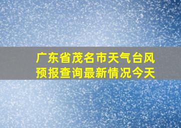 广东省茂名市天气台风预报查询最新情况今天