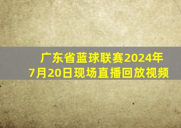 广东省蓝球联赛2024年7月20日现场直播回放视频