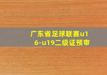 广东省足球联赛u16-u19二级证预审