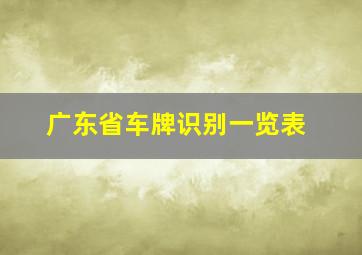 广东省车牌识别一览表