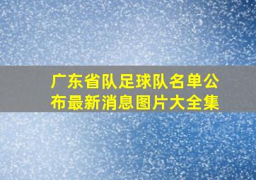 广东省队足球队名单公布最新消息图片大全集