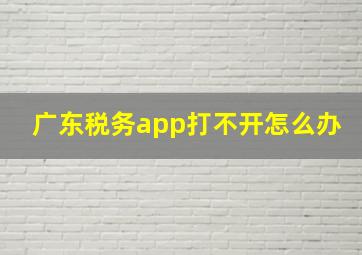 广东税务app打不开怎么办