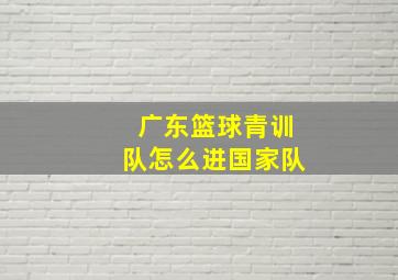 广东篮球青训队怎么进国家队