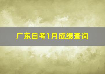 广东自考1月成绩查询