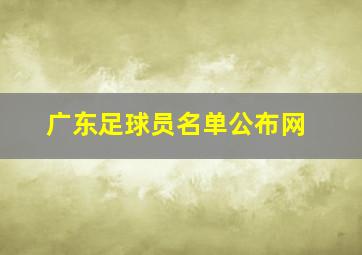 广东足球员名单公布网