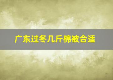 广东过冬几斤棉被合适