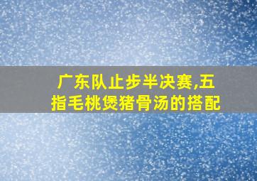 广东队止步半决赛,五指毛桃煲猪骨汤的搭配