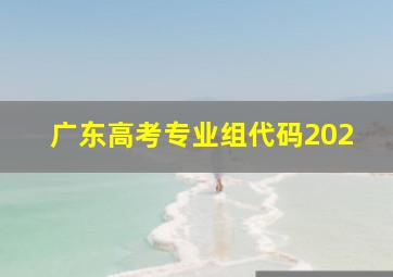 广东高考专业组代码202